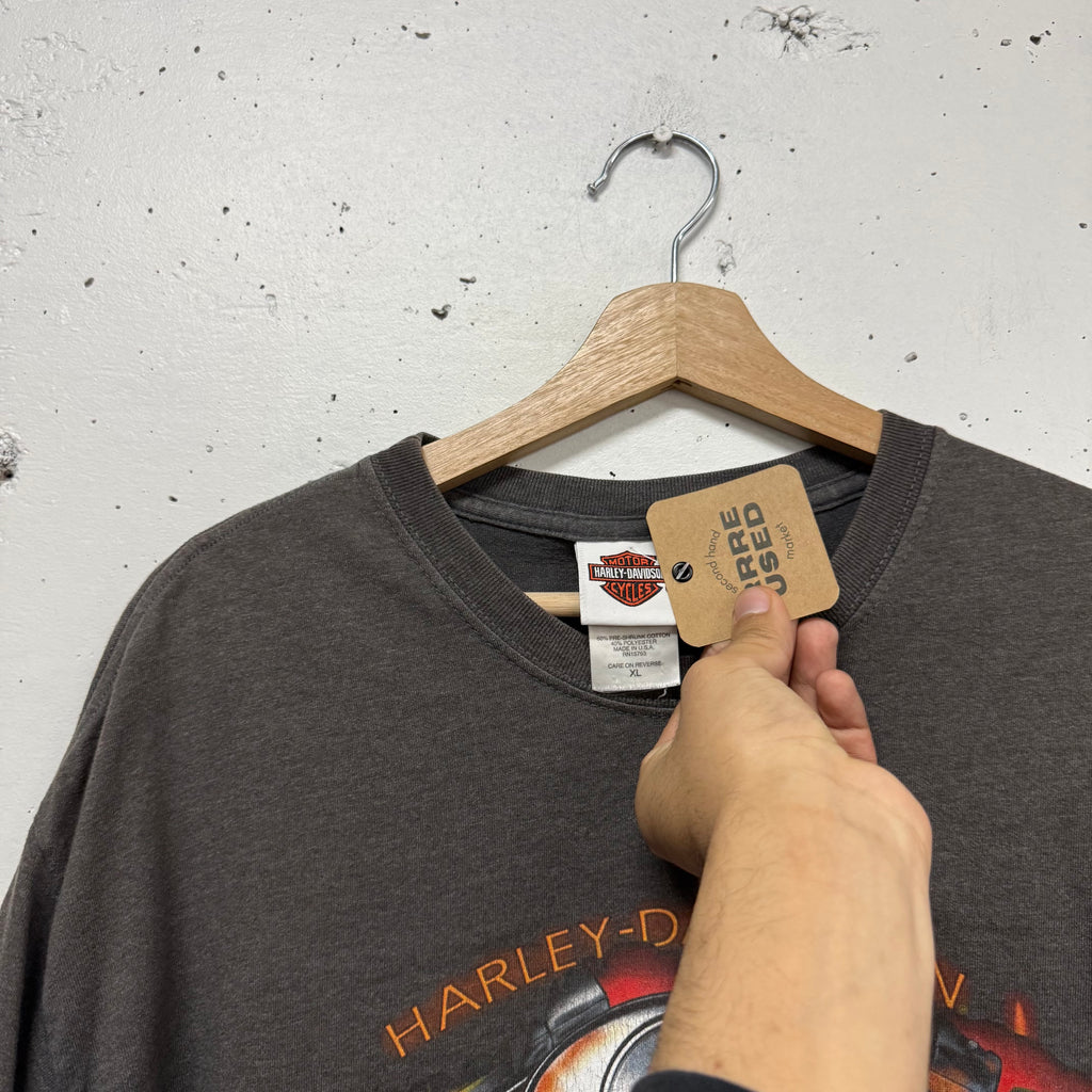 Polera Harley Davidson