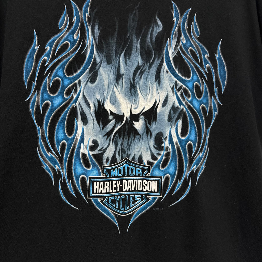 Polera Harley Davidson Vintage