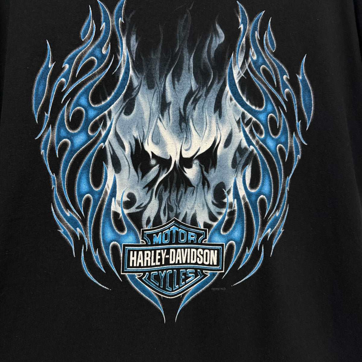 Polera Harley Davidson Vintage