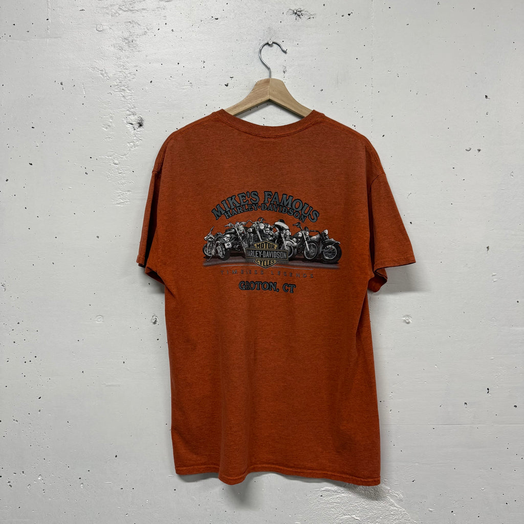 Polera Harley Davidson