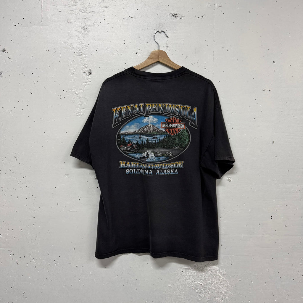 Polera Harley Davidson